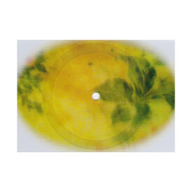 EMM03-03 Bernhard Fleischmann