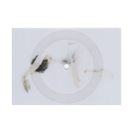 EMM03_01 Maja Osojnik