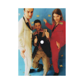 EMM07 Scheffenbichler Zaunbirschtl