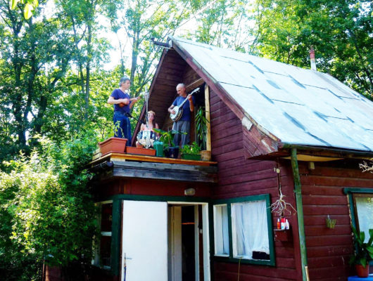 Insekten Foto: Haldis Scheicher
